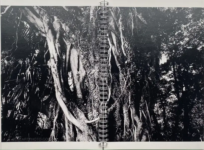 Collective – Dying City (COMPLETE SET OF 3)