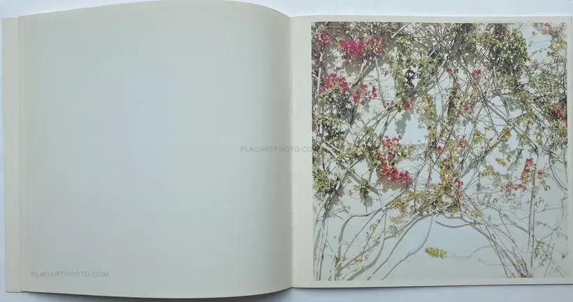 Mie Morimoto – Slicer