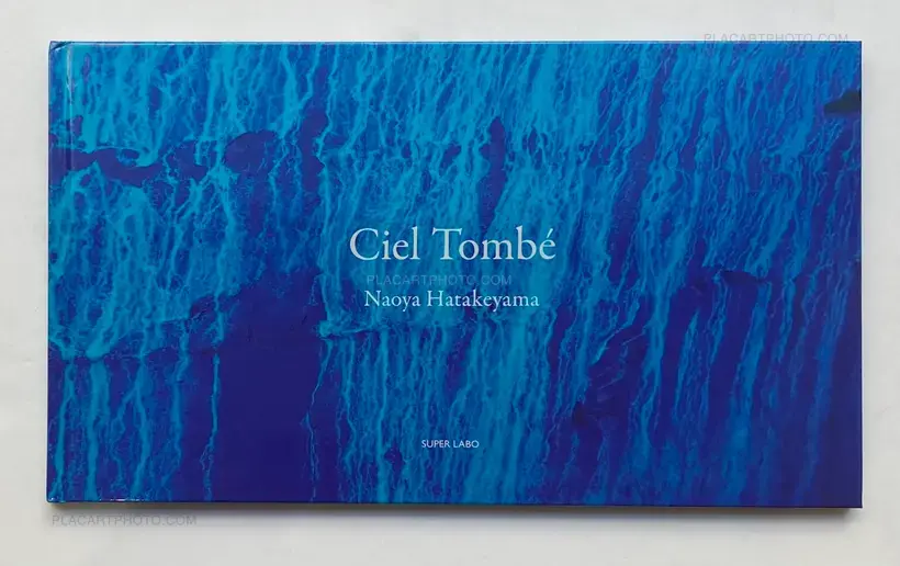 Naoya Hatakeyama – Ciel Tombé (with The Astrologer by Sylvie Germain )