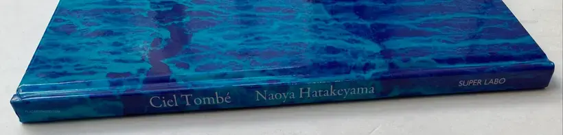 Naoya Hatakeyama – Ciel Tombé (with The Astrologer by Sylvie Germain )
