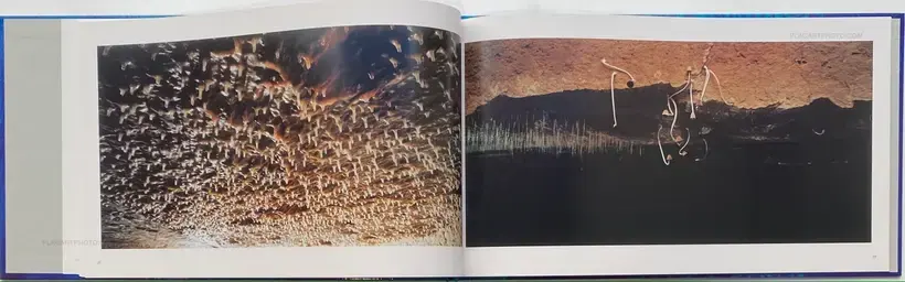 Naoya Hatakeyama – Ciel Tombé (with The Astrologer by Sylvie Germain )
