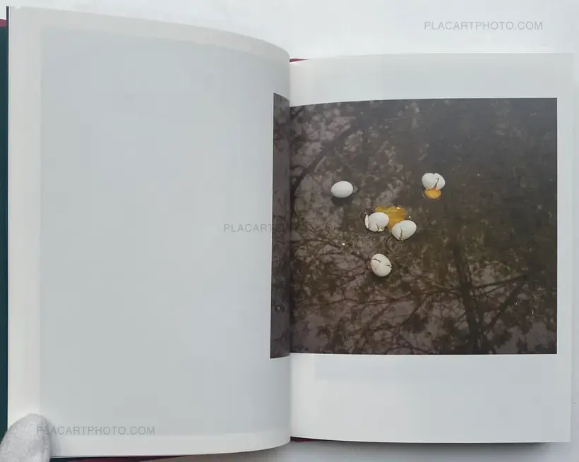 Pieter Hugo – FLAT NOODLE SOUP TALK (SIGNED)