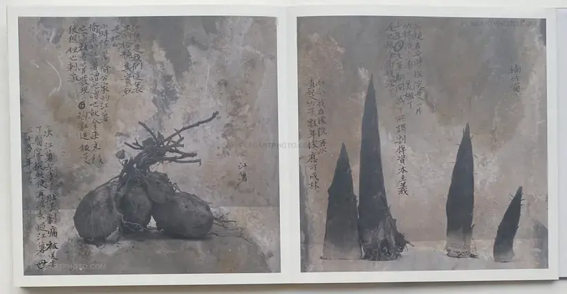 Wei Bi – MENGXI 2 (SIGNED)