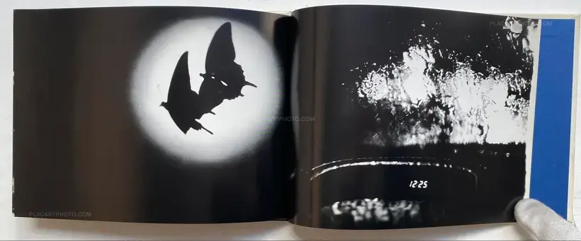 Yusuke Nasu – All Cats Are Gray In The Dark (with print)