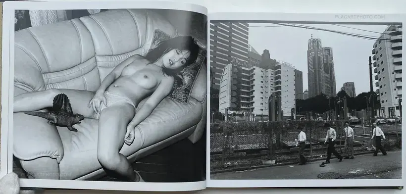 Nobuyoshi Araki – Seikimatsu no Shashin