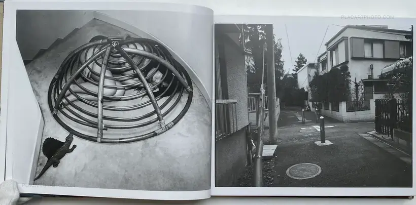 Nobuyoshi Araki – Seikimatsu no Shashin