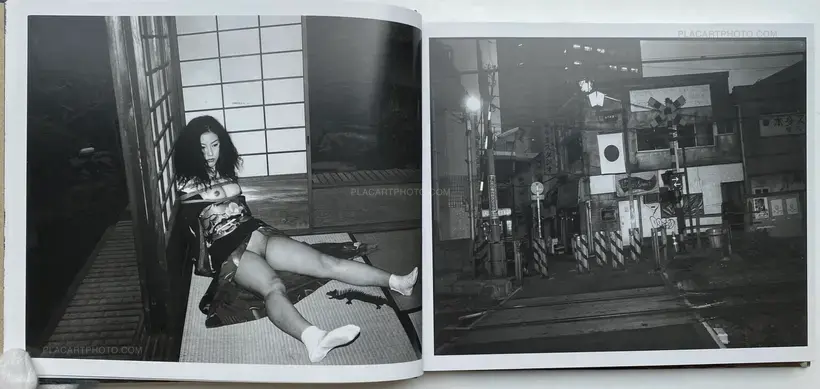 Nobuyoshi Araki – Seikimatsu no Shashin