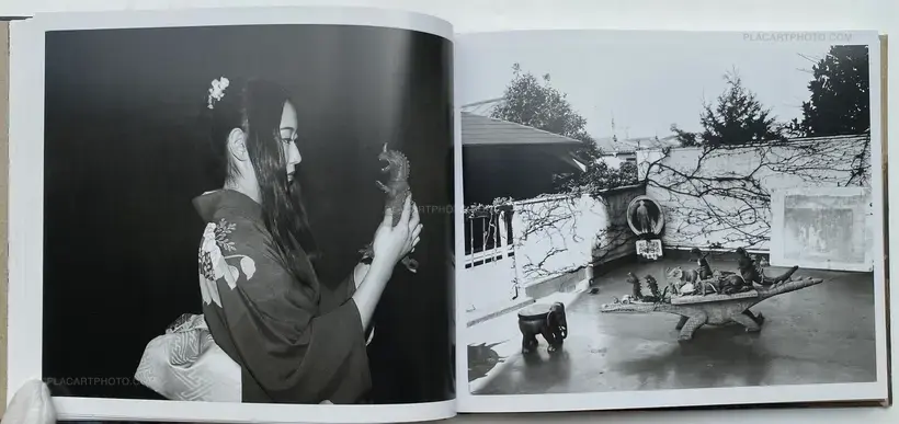 Nobuyoshi Araki – Seikimatsu no Shashin