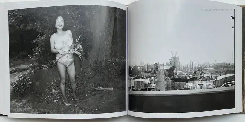 Nobuyoshi Araki – Seikimatsu no Shashin