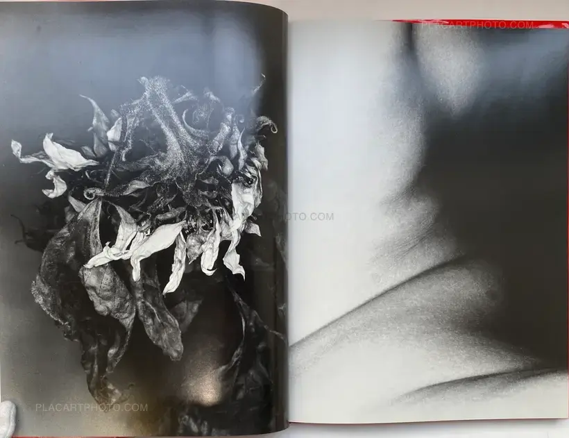 Nobuyoshi Araki – Erotos (WITH OBI)