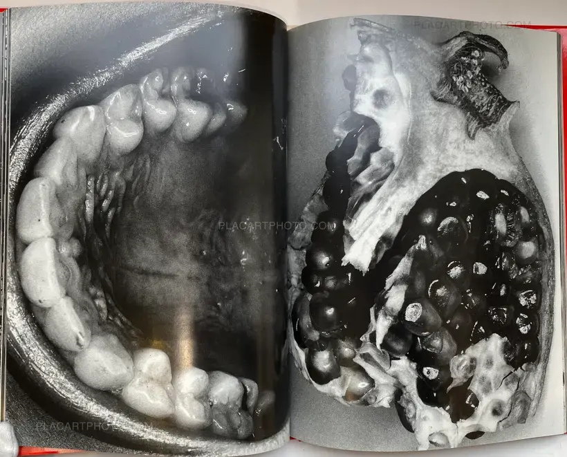 Nobuyoshi Araki – Erotos (WITH OBI)