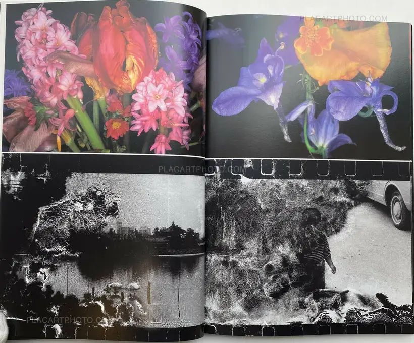 Nobuyoshi Araki – Shijyo: Tokyo Marketplace of Emotions