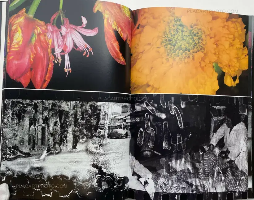 Nobuyoshi Araki – Shijyo: Tokyo Marketplace of Emotions