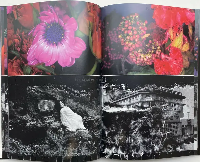 Nobuyoshi Araki – Shijyo: Tokyo Marketplace of Emotions
