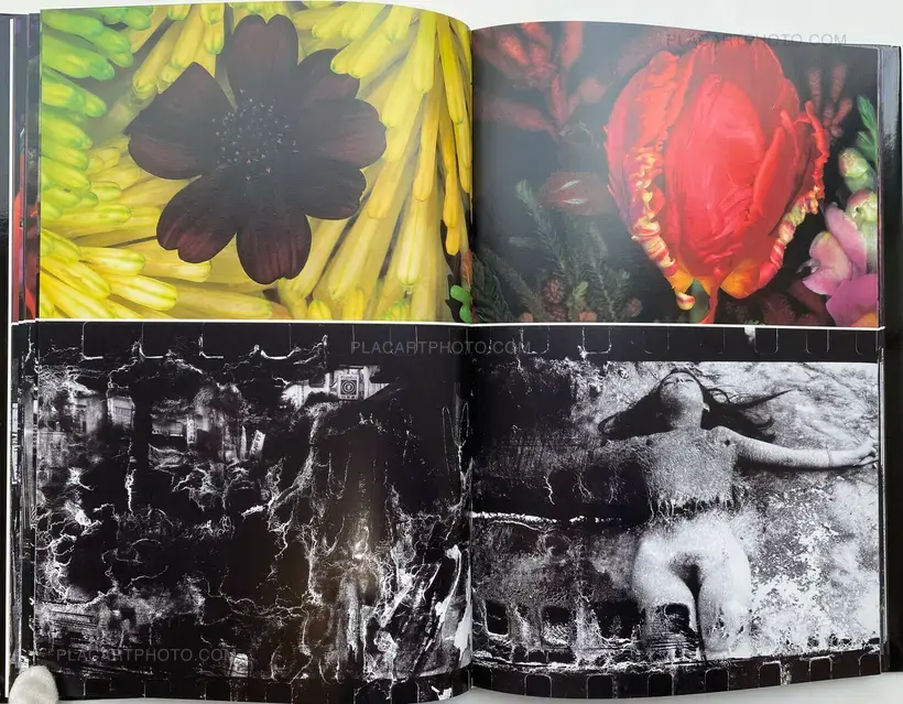 Nobuyoshi Araki – Shijyo: Tokyo Marketplace of Emotions