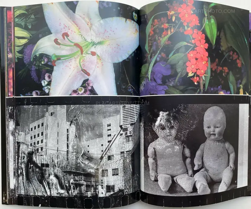Nobuyoshi Araki – Shijyo: Tokyo Marketplace of Emotions