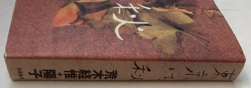 Nobuyoshi Araki – Tokyo wa, Aki (Tokyo is, Autumn)