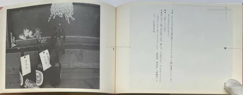 Nobuyoshi Araki – Tokyo wa, Aki (Tokyo is, Autumn)