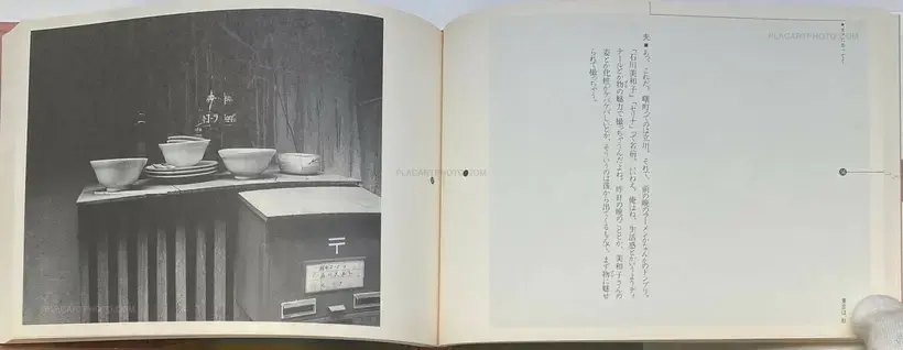 Nobuyoshi Araki – Tokyo wa, Aki (Tokyo is, Autumn)