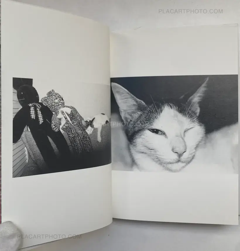 Nobuyoshi Araki – Itoshi no Chiro (Chiro, My Love)