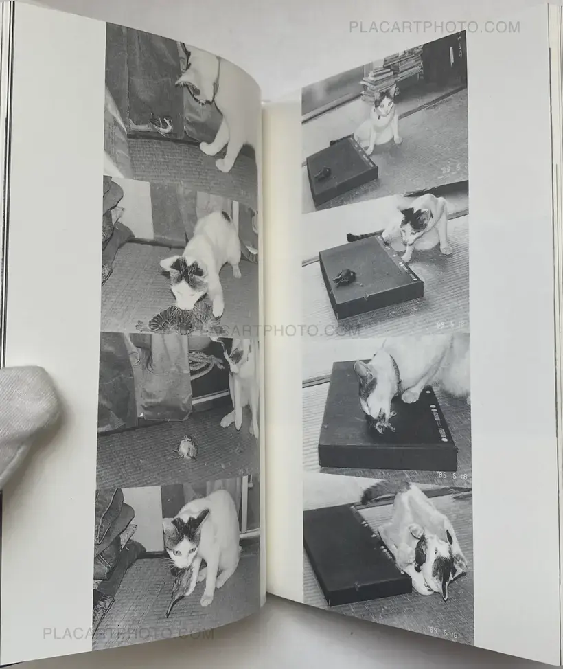 Nobuyoshi Araki – Itoshi no Chiro (Chiro, My Love)