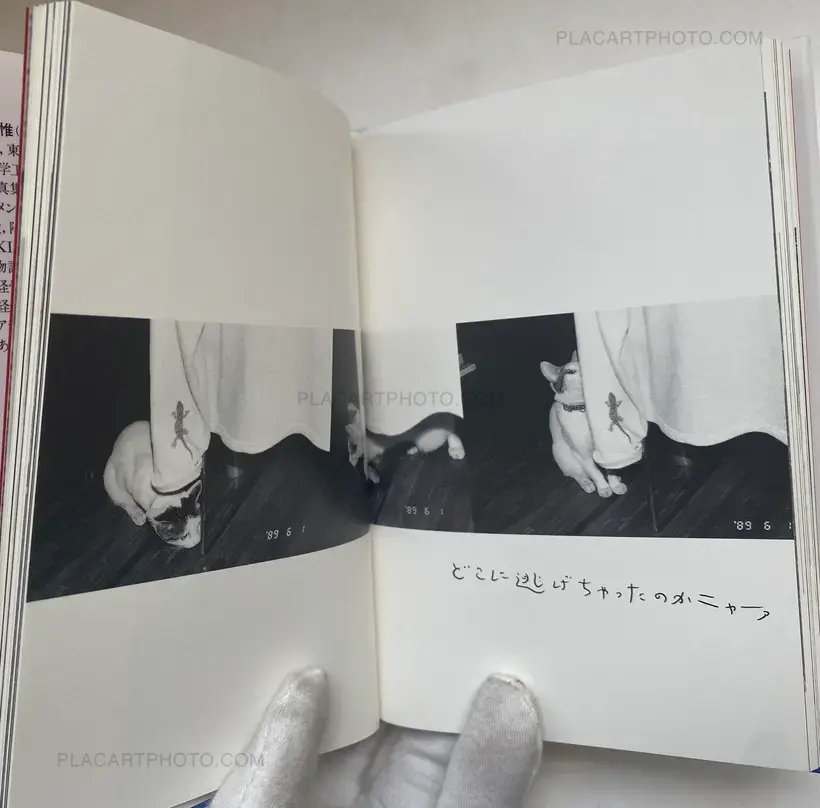 Nobuyoshi Araki – Itoshi no Chiro (Chiro, My Love)