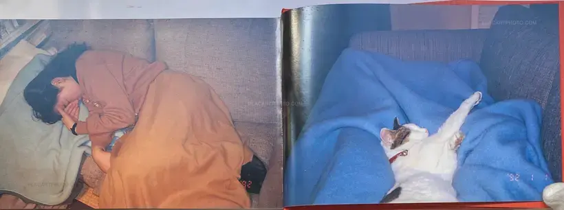 Nobuyoshi Araki – Shakyojin iro nikki (Photo Maniac's Color Diary)