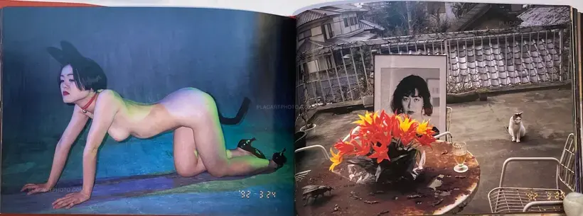 Nobuyoshi Araki – Shakyojin iro nikki (Photo Maniac's Color Diary)