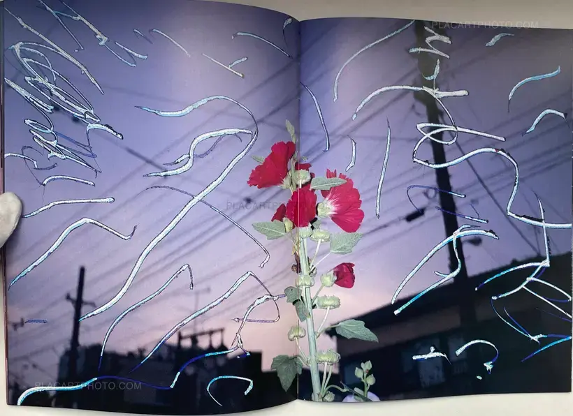 Nobuyoshi Araki – Waisetsu Shashin (Obscenities)