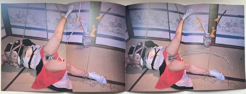 Nobuyoshi Araki – Waisetsu Shashin (Obscenities)