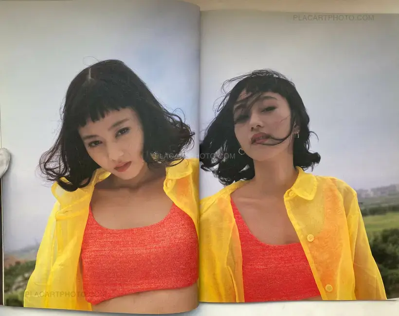 Nobuyoshi Araki – FAKE LOVE