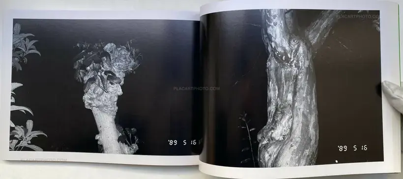 Nobuyoshi Araki – Heisei Gannen (The First year of Heisei) (WITH OBI)