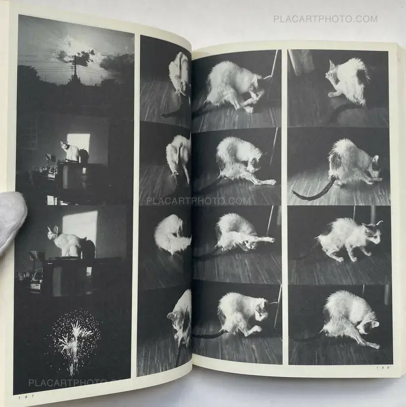 Nobuyoshi Araki – Tokyo Nostalgia (WITH OBI)