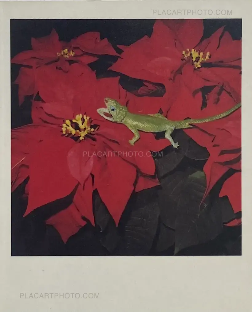 Nobuyoshi Araki – POLAROID (SIGNED)