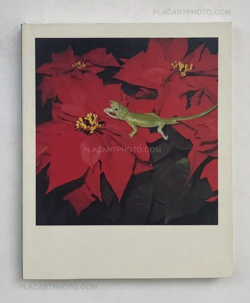 Nobuyoshi Araki – POLAROID (SIGNED)