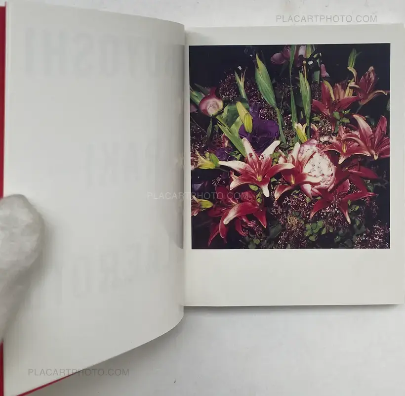 Nobuyoshi Araki – POLAROID (SIGNED)
