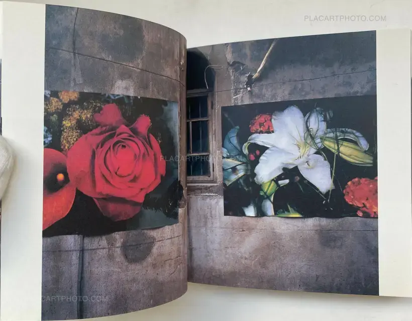Nobuyoshi Araki – Shanhai-Gaeri no Araki (Anarchy Coming Back from Shanghai)