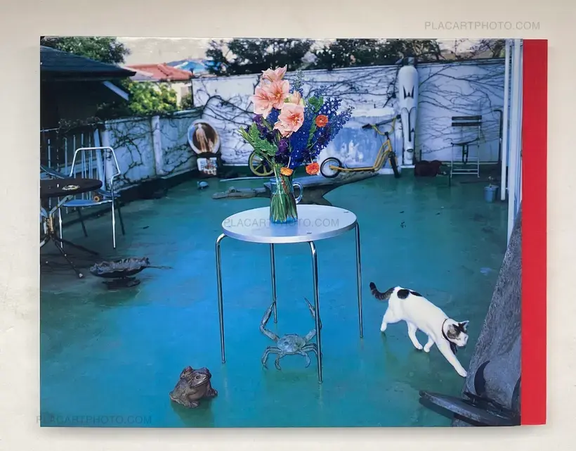 Nobuyoshi Araki – Shinseiki no Shashin (Photographs from the New Century)