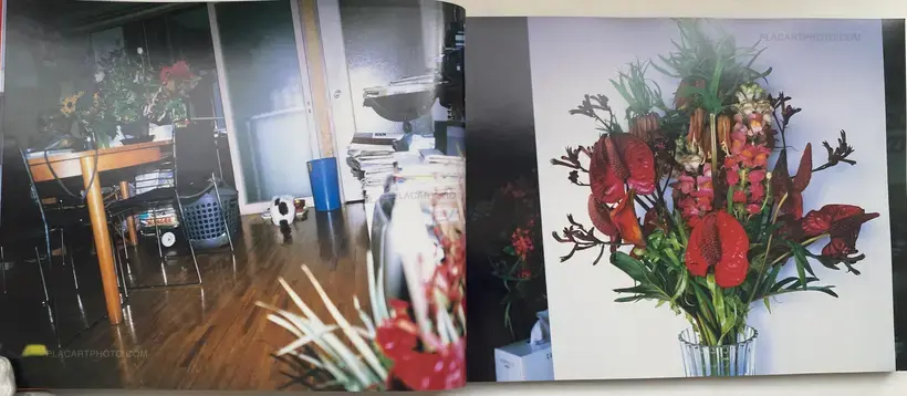 Nobuyoshi Araki – Shinseiki no Shashin (Photographs from the New Century)
