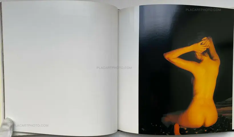 Nobuyoshi Araki – Visions of Japan
