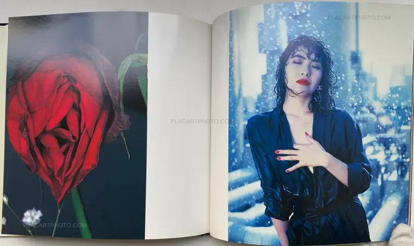 Nobuyoshi Araki – Visions of Japan