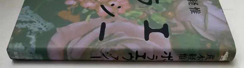 Nobuyoshi Araki – Polaevacy