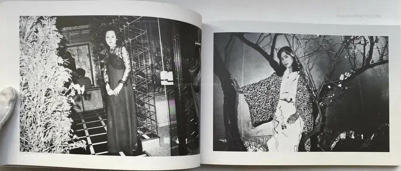 Nobuyoshi Araki – Araki Nobuyoshi no Nise Nikki (Nobuyoshi Araki's Pseudo-Diary) (WITH OBI)