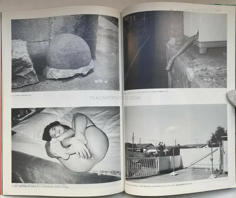 Nobuyoshi Araki – Araki no Tokyo Shikijo Nikki (Ararchy's Tokyo Erotic Diary)