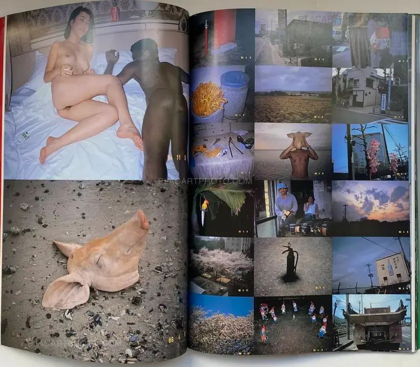 Nobuyoshi Araki – Araki no Tokyo Shikijo Nikki (Ararchy's Tokyo Erotic Diary)