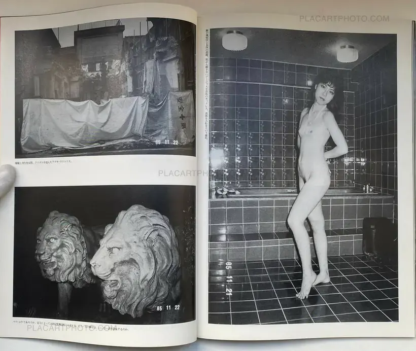 Nobuyoshi Araki – Araki no Tokyo Shikijo Nikki (Ararchy's Tokyo Erotic Diary)
