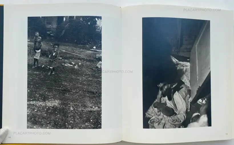 William Eggleston – BEFORE COLOR
