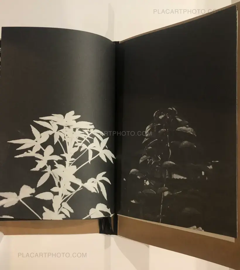 Rohit Saha – 1528 (Signed and numbered of 300 copies)