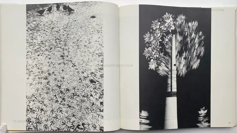 Collective – Koseki