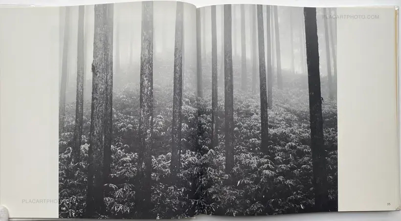Collective – Koseki